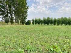 Foto Terreno agricolo in vendita a Fornacette - Calcinaia 3000 mq  Rif: 992602