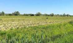 Foto Terreno agricolo in Vendita a Gaiarine
