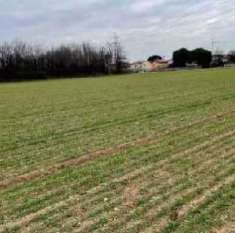 Foto Terreno agricolo in Vendita a Gallarate Via Verghera snc