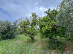 Foto Terreno agricolo in vendita a Lamezia Terme
