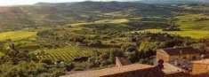 Foto Terreno agricolo in vendita a Lazzeretto - Cerreto Guidi 40000 mq  Rif: 968543