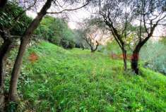 Foto Terreno agricolo in vendita a Livorno