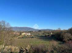 Foto Terreno agricolo in vendita a Montecarlo