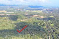 Foto Terreno agricolo in vendita a Monti