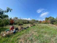 Foto Terreno agricolo in vendita a Orbetello