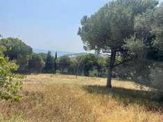 Foto TERRENO AGRICOLO in VENDITA a PESARO