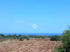 Foto Terreno agricolo in vendita a Polignano A Mare