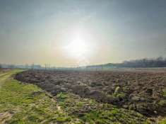 Foto Terreno agricolo in vendita a Pozzolengo