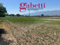 Foto Terreno agricolo in vendita a Raviscanina