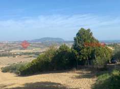 Foto Terreno agricolo in vendita a Recanati