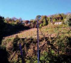 Foto Terreno agricolo in Vendita a Refrontolo