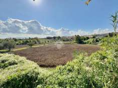 Foto Terreno agricolo in vendita a San Clemente