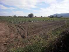 Foto Terreno agricolo in vendita a San Lazzaro - Sarzana 2200 mq  Rif: 798752