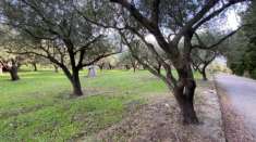 Foto Terreno agricolo in Vendita a San Piero Patti Via xxxxx