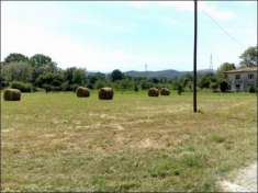 Foto Terreno agricolo in vendita a Sarzana 5000 mq  Rif: 1123247