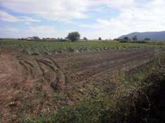 Foto Terreno agricolo in Vendita a Sarzana Viale  Aprile,