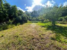 Foto Terreno agricolo in vendita a Viterbo