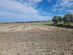 Foto Terreno agricolo Lago di lesina