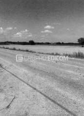 Foto Terreno di 11960 mq  in vendita a Felizzano - Rif. 4490702