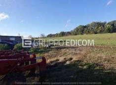 Foto Terreno di 12709 mq  in vendita a Circello - Rif. 4490379