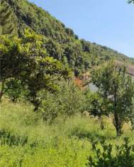 Foto TERRENO EDIFICABILE  CON CASALE