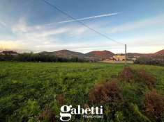 Foto Terreno edificabile in vendita a Calvi Risorta