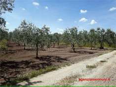 Foto Terreno edificabile in Vendita a Cerignola Via S.P. 143 Ofantina