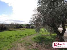 Foto Terreno edificabile in Vendita a Gradara