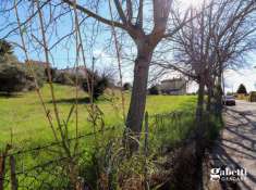 Foto Terreno edificabile in vendita a Gradara