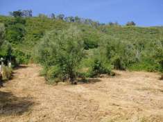 Foto Terreno edificabile in vendita a Torre Orsaia