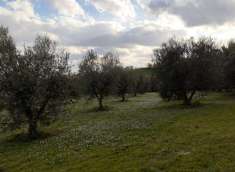 Foto TERRENO in VENDITA a SENIGALLIA